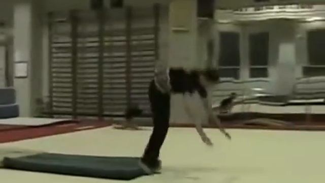 РАЗУЧИВАЮ ФЛЯК НАЗАД В ЛОНЖЕ смотреть онлайн