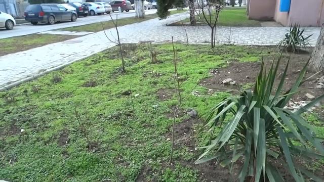 Сегодня в Анапе 15 февраля смотреть онлайн