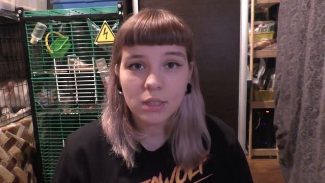 ДЕКОРАТИВНЫЕ МЫШИ: ОСНОВНЫЕ МОМЕНТЫ УХОДА И СОДЕРЖАНИЯ! смотреть онлайн