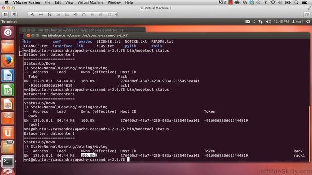 Apache Cassandra Tutorial | Checking Status смотреть онлайн