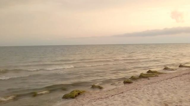 АСМР?Звуки МОРЯ?Шум МОРЯ для СНА и РЕЛАКСация? ASMR sounds SEA ? RELAXing and SLEEPing❣️nikinice смотреть онлайн