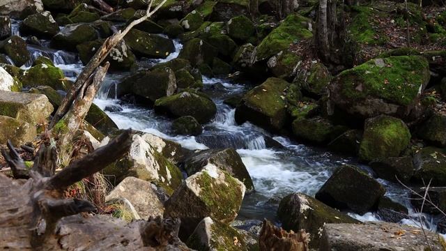 Приморский край - Вблизи водопада Неожиданный [Звуки природы, для сна, расслабления]