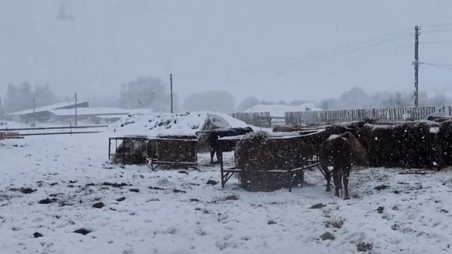 ПРАЗДНИЧНЫЕ РАБОТЫ НАКАНУНЕ РОЖДЕСТВА ХРИСТОВА. ... смотреть онлайн