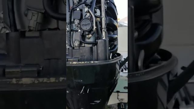 Suzuki df175 4 stroke fuel filter change смотреть онлайн