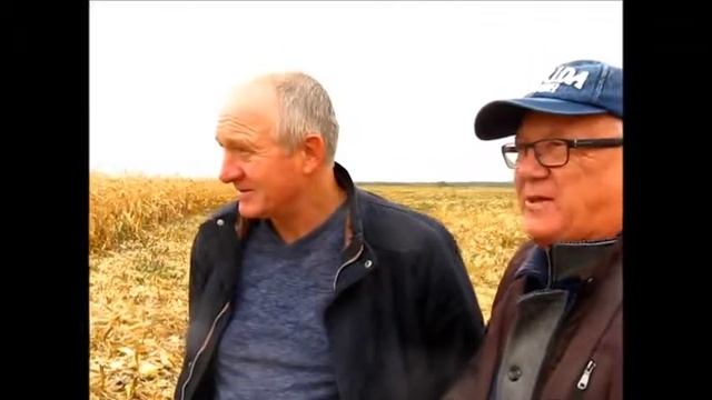Малинки Каскад 166 18г смотреть онлайн