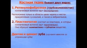 Хрящевые и костные ткани. Видео лекция С.М.Зиматкин (7)