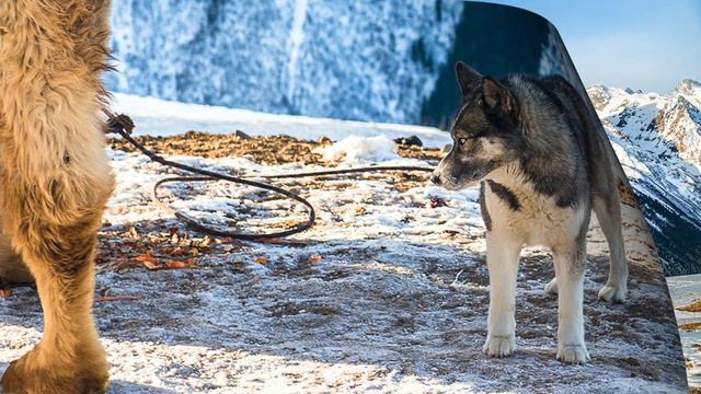 Домбай горный край смотреть онлайн