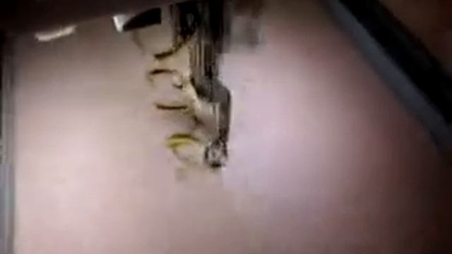 machine embroidery applique, bernina nakış makinesi, nakış makinesi смотреть онлайн