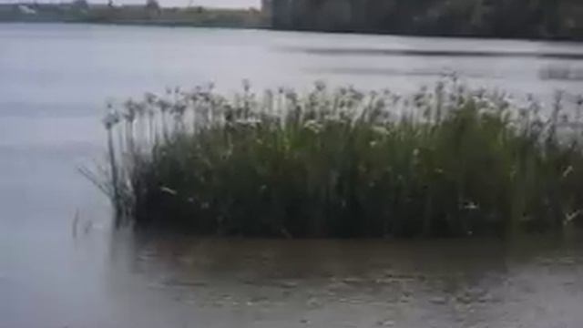 Намытый песчаный берег у прорвы 2. смотреть онлайн