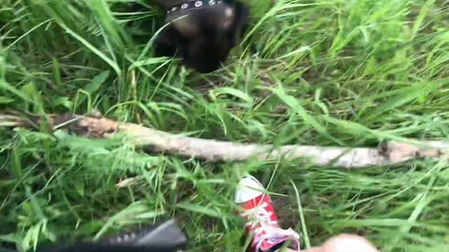 Моя собака Рада. Когда то она была веселая и жизнерадостная)