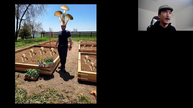 Boomer Taiki Farms Mushrooms On Cardano After Getting Rekt On LUNA