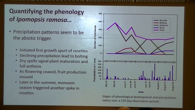 Ipomopsis ramosa Part 1 Lecture смотреть онлайн