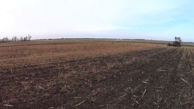 Делаю последнюю предпосевную дисковку на Т 150К. Главное успеть до дождя! смотреть онлайн