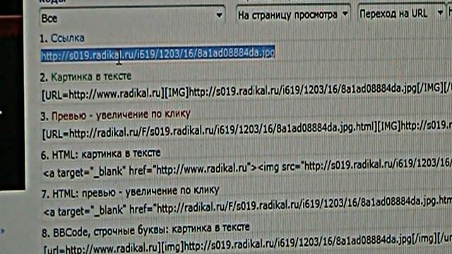 Radikal.ru & Forum Как правильно пользоваться 