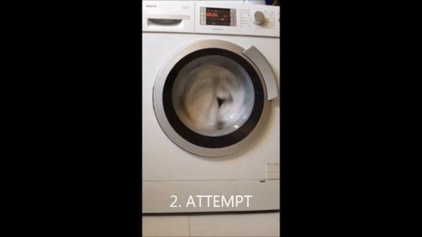 Bosch Logixx 6 Sensitive Silance perfect Failurend spin