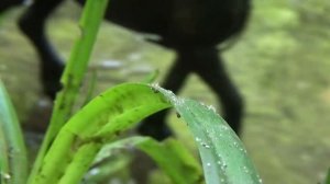 шляйх сериал ДЕМОН ВО МНЕ 2 сезон 11 серия