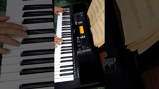 Popurrí bohemio con Yamaha Psr 363 смотреть онлайн