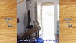 All New Zach King Magic Vines - Best Magic Tricks Ever