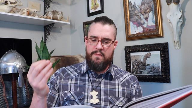 What is the Havamal? Viking Poetry, Wisdom of Odin, Saying of the High One! смотреть онлайн