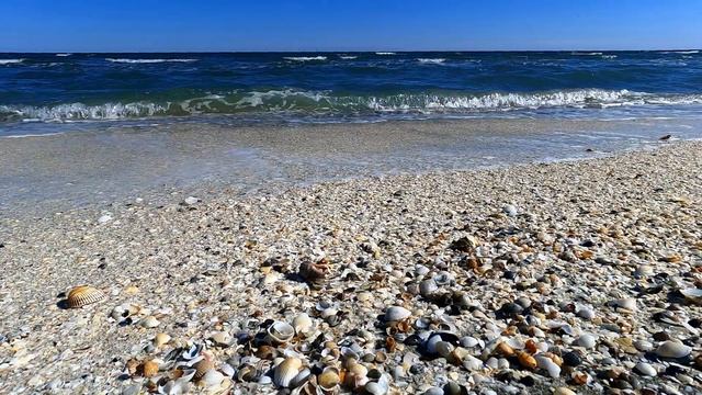 Шум моря. Послушаем? #море #шумморя #берегморя смотреть онлайн