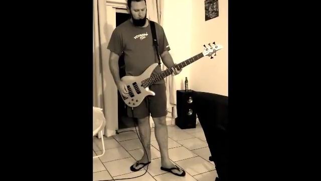 Markus Grosskopf's Bassinvaders - We Live (By Decko Harres) смотреть онлайн