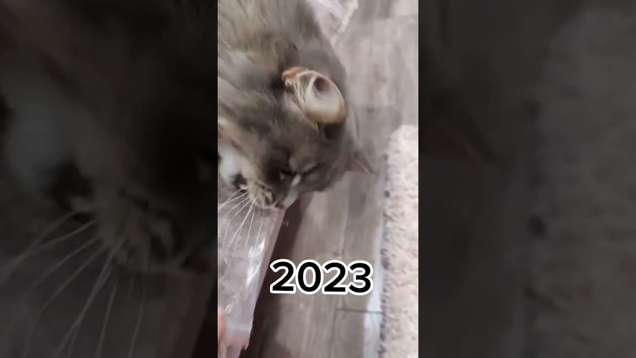 2023 and 2015#shorts смотреть онлайн