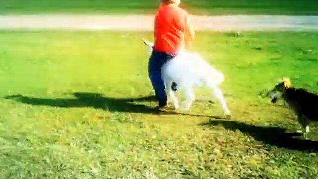 Мальчик на козле