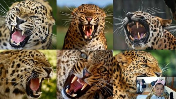 유리세계 glass 미셸 플레이(후방주의)