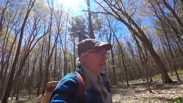 Spring Wildflower/Plant ID #4 - May Flower, Large-flowered Bellwort, Wild Strawberry смотреть онлайн