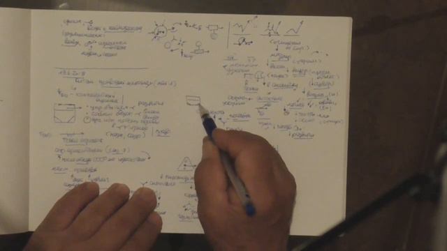 Норма и ее реализация Директивные нормы и их особенности Движение к правовому пространству 2018 смотреть онлайн