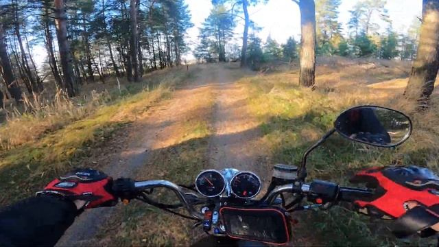 Гонка на выживание