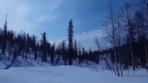 Lynx yeti v800,ski doo Legend v1000 Едем за пыхнувшим 600ace