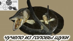 Чучело из головы щуки своими руками