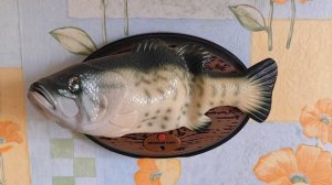 говорящая рыба на стене.mp4