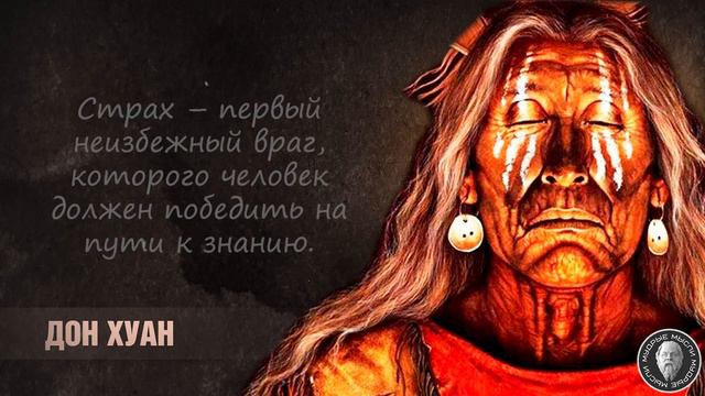 Цитаты дона Хуана, Которые Должен Знать Каждый! | Цитаты, Афоризмы, Мудрые Мысли смотреть онлайн