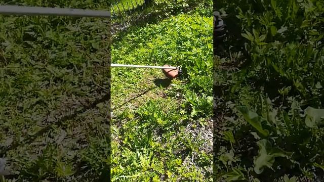 Запуск и работа триммер бензиновый б/у echo SRM-330ES смотреть онлайн