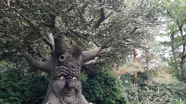 Efteling Park. World full of Wonders. Fairy tale. Water show // Сказочный парк развлечений Efteling смотреть онлайн