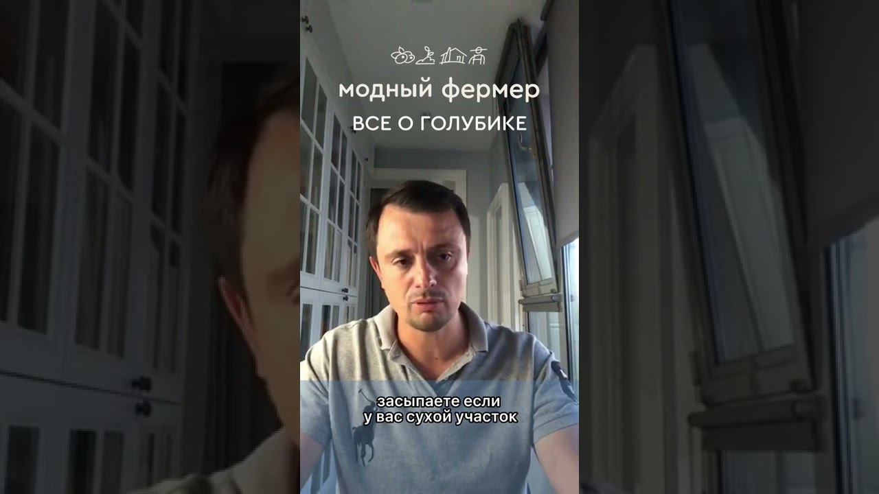 30 ноября 2022 г. смотреть онлайн