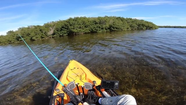 Cold Water Redfish and Trout on GULP! смотреть онлайн