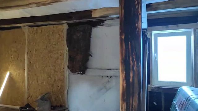 самый дешёвый антисептик для дерева, и много лирики смотреть онлайн