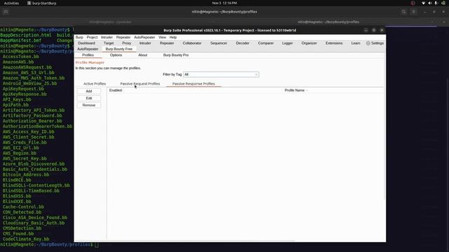 Burp Bounty Profiles In Burp Suite || Bug Bounty смотреть онлайн