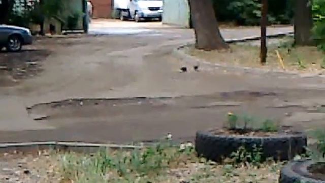 Вредный сосед парковка смотреть онлайн