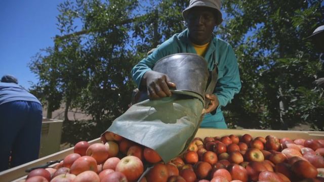 Tru-Cape Corporate Video