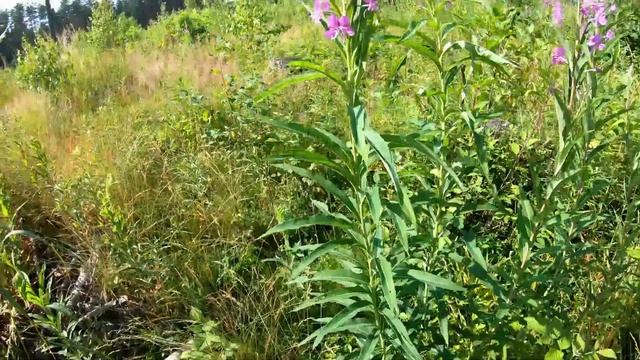 СтройИстории