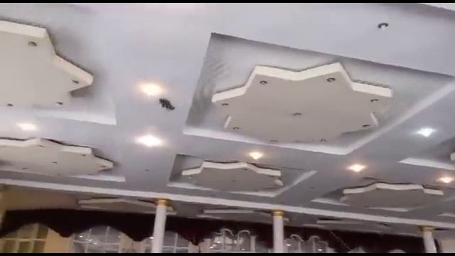 Показывает как ИГРАЕТ голубь прямо на выставке ( Миро , Бишкек (Пишпек, Фрунзе), Кыргызстан смотреть онлайн