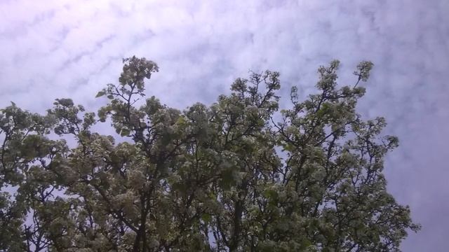 ИСЦЕЛЕНИЕ ПЛАНЕТЫ смотреть онлайн