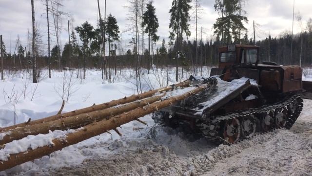 Зимняя заготовка хлыстов трактором ТДТ-55 смотреть онлайн