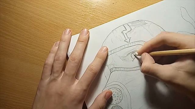 КАК нарисовать АРТЁМА из МЕТРО 2033 ПОЭТАПНО смотреть онлайн