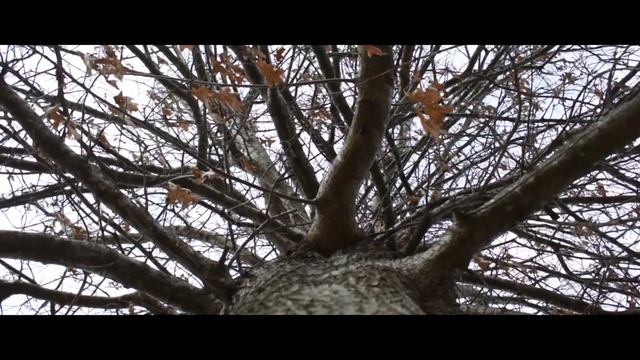 The Wind - Short Film (Nikon D3400 Cinematic Video) смотреть онлайн