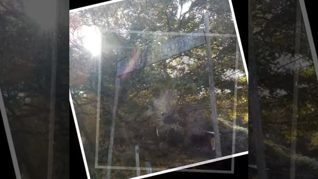 Domenica Di Trekking Canale Monterano